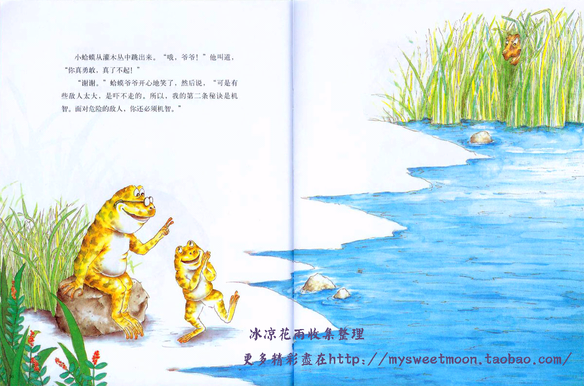 蛤蟆爷爷的秘诀 (04),绘本,绘本故事,绘本阅读,故事书,童书,图画书,课外阅读
